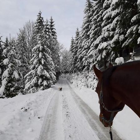 Statek U Rajmunda Villa Velke Karlovice Bagian luar foto