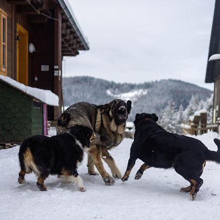 Statek U Rajmunda Villa Velke Karlovice Bagian luar foto