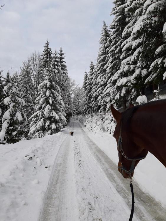 Statek U Rajmunda Villa Velke Karlovice Bagian luar foto