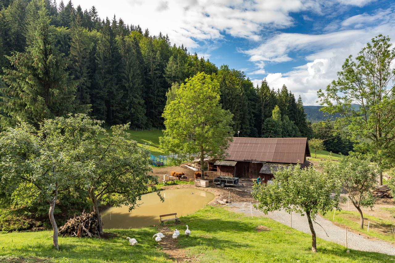 Statek U Rajmunda Villa Velke Karlovice Bagian luar foto