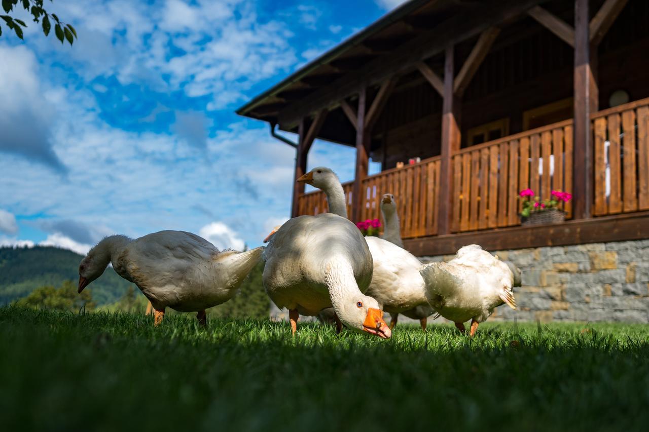 Statek U Rajmunda Villa Velke Karlovice Bagian luar foto