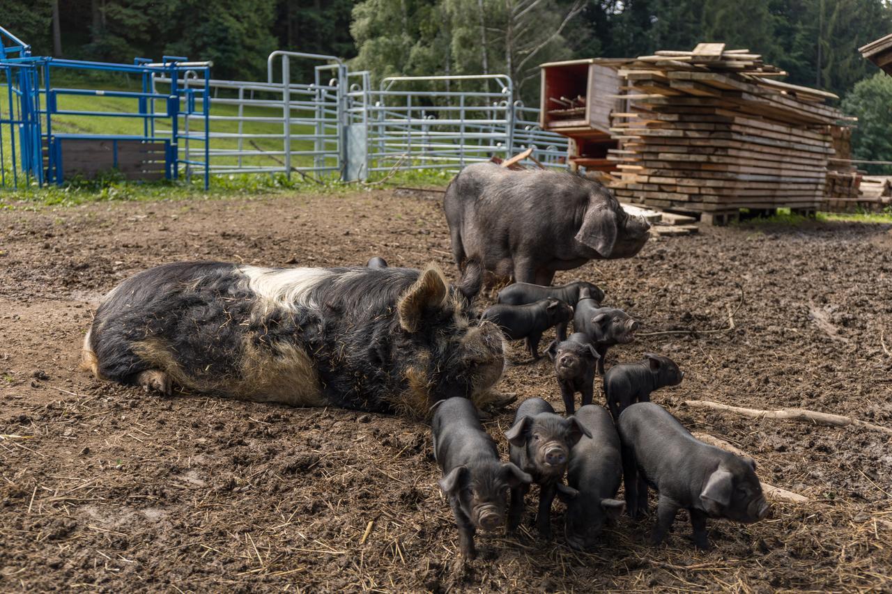 Statek U Rajmunda Villa Velke Karlovice Bagian luar foto