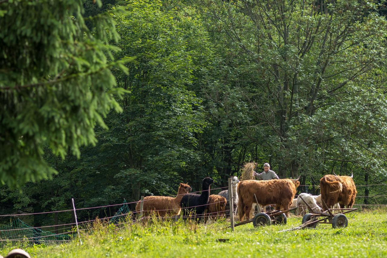 Statek U Rajmunda Villa Velke Karlovice Bagian luar foto