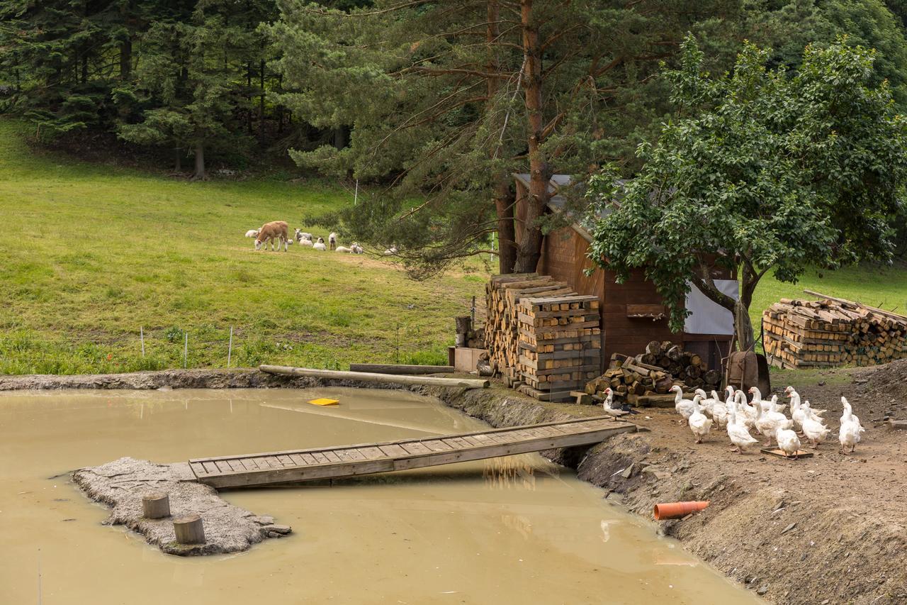 Statek U Rajmunda Villa Velke Karlovice Bagian luar foto