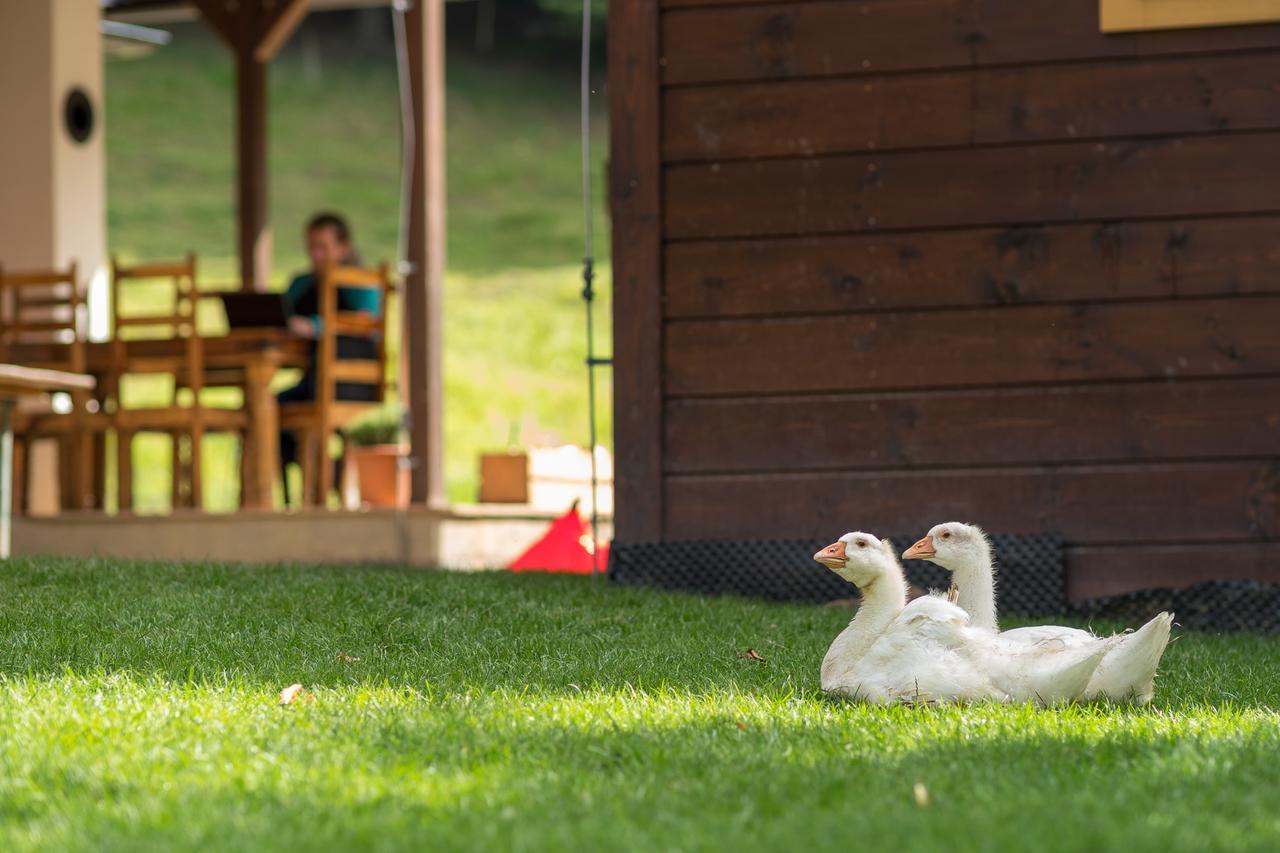 Statek U Rajmunda Villa Velke Karlovice Bagian luar foto