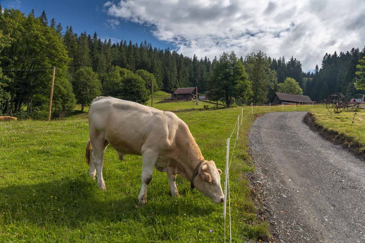 Statek U Rajmunda Villa Velke Karlovice Bagian luar foto