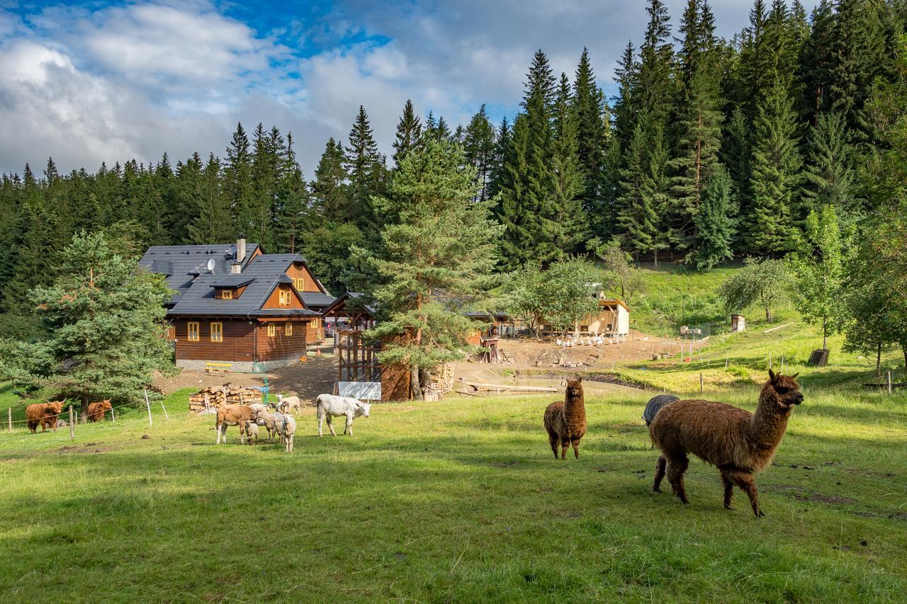 Statek U Rajmunda Villa Velke Karlovice Bagian luar foto