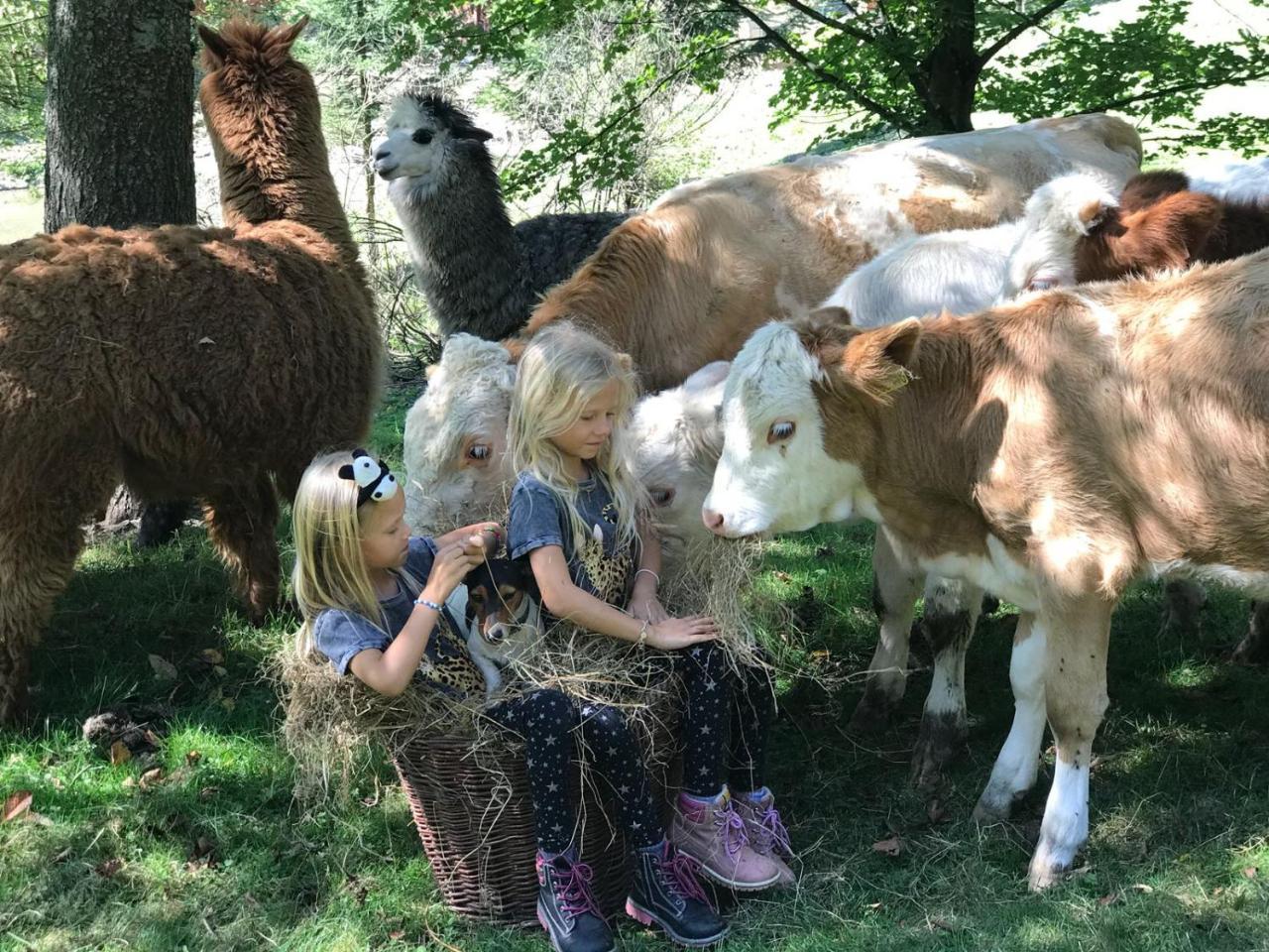 Statek U Rajmunda Villa Velke Karlovice Bagian luar foto